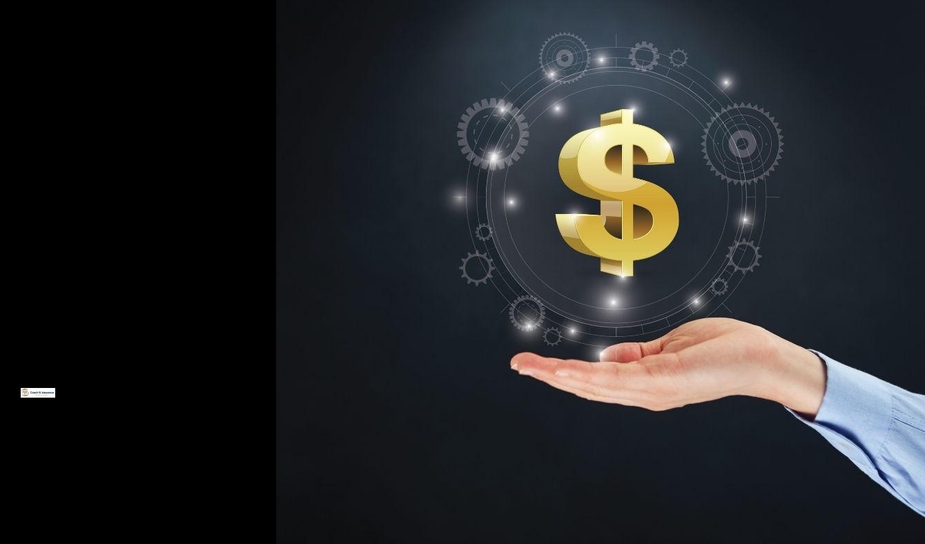 term life insurance definition