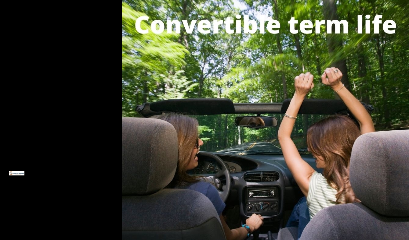direct term life insurance